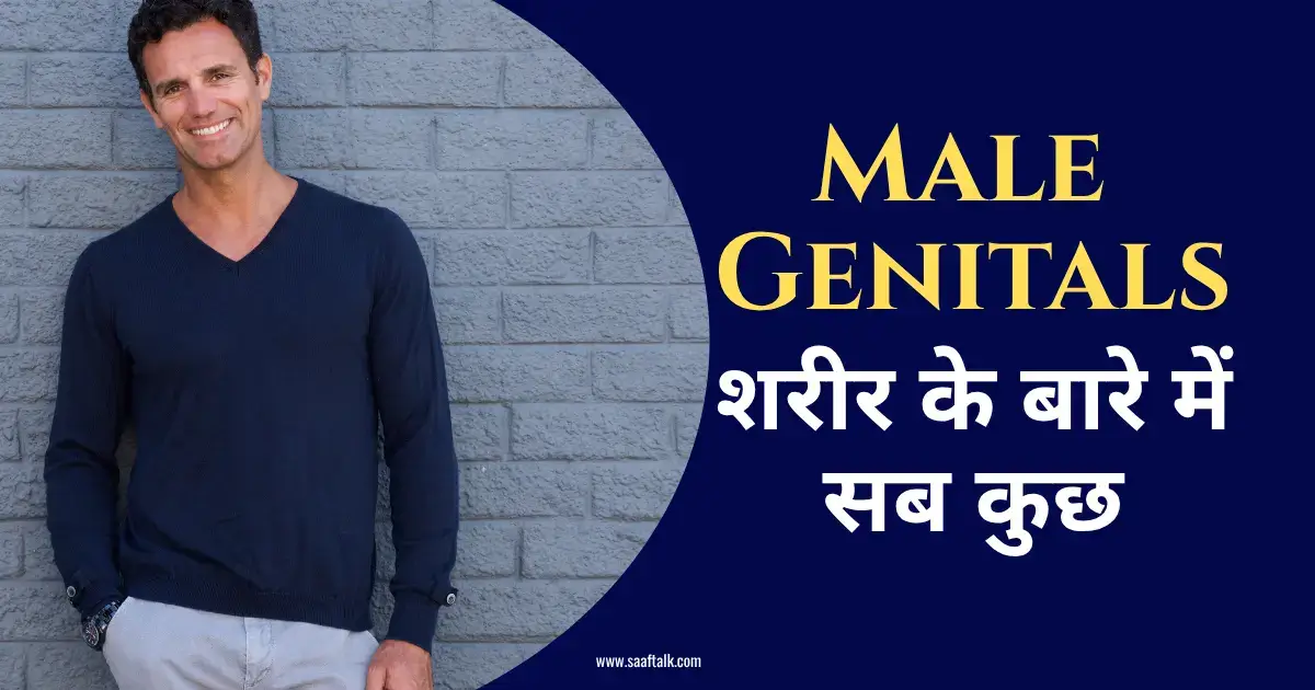 male genitals, penis, erection, sexual health,